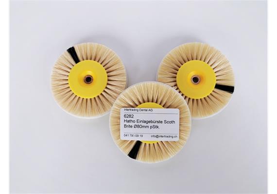 Hatho Einlagebürste Scoth Brite Ø80mm pStk.